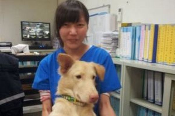保護施設のスタッフが自殺してから約1年、台湾で動物の殺処分が禁止される