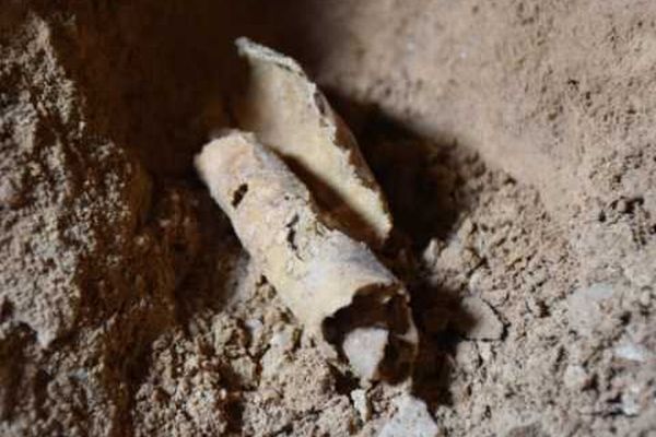 死海文書が眠る第12の洞窟が、約60年ぶりに発見される