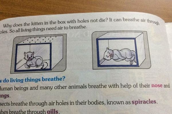 「子猫を窒息させてみましょう」インドで実際に使われている教科書の内容に驚愕