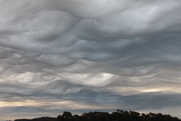 30年ぶりに世界気象機関が、波のような雲を新種として正式に承認