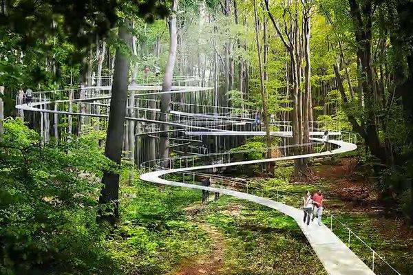 こんな森に行ってみたい！トルコでユニークなデザインの公園計画が進行中