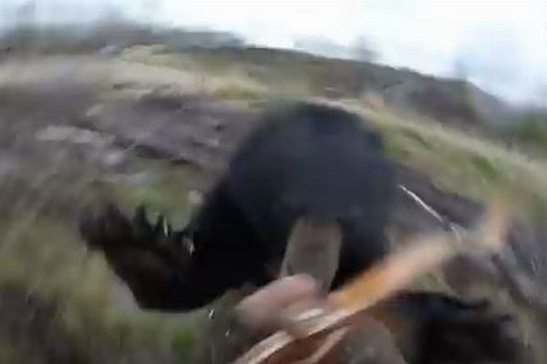 狩猟の最中にクマに遭遇、突進され襲われる瞬間を捉えた動画が恐ろしい