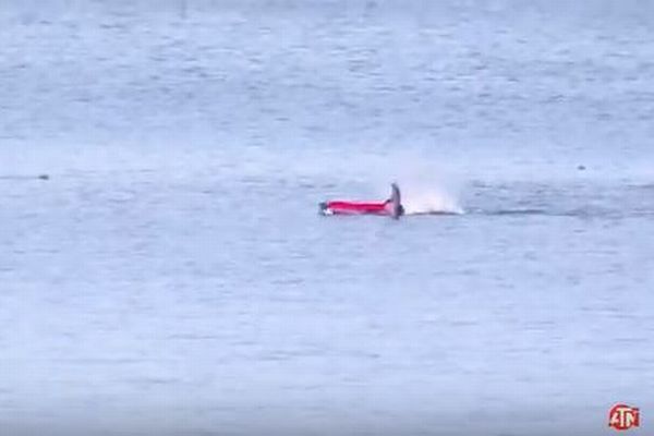 ホオジロザメがカヤックを襲撃、海に投げ出された男性の動画がヒヤヒヤもの