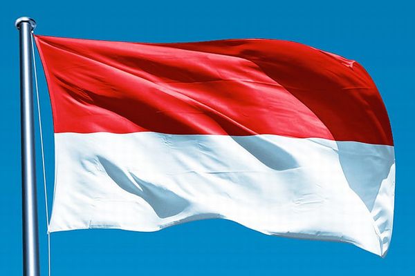 スポーツ大会でインドネシアの国旗が逆さまに印刷され、マレーシアに非難殺到