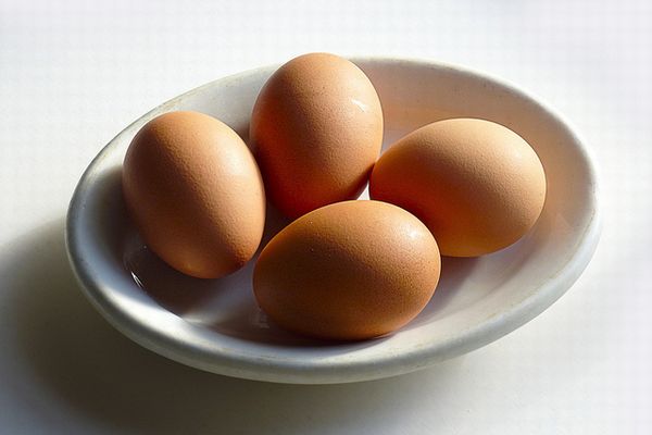 殺虫剤に汚染された卵が欧州で拡散、英仏にも流入し独の店頭からは姿を消す