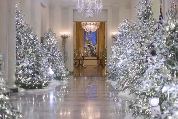 用意されたツリーは53本、ホワイトハウスのクリスマス用デコレーションが豪華