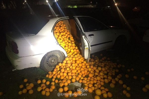 重さは約4トン！車内から大量の盗まれたオレンジが発見される