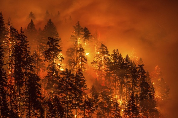火事 の 原因 山 山火事は熱波や温暖化が原因で増えているか？ 山火事と森林の関係。