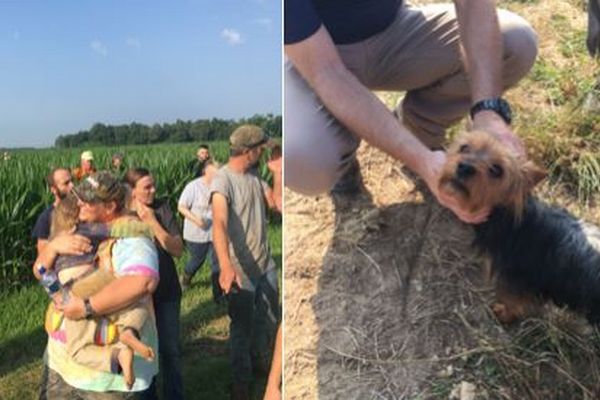 コーン畑で行方不明になった3歳の少女、離れずにいた愛犬により救助される