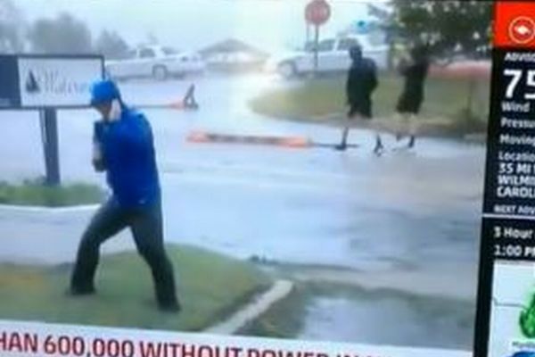 ハリケーンの暴風に耐えるレポーター、背後を男性が普通に歩く動画がユニーク
