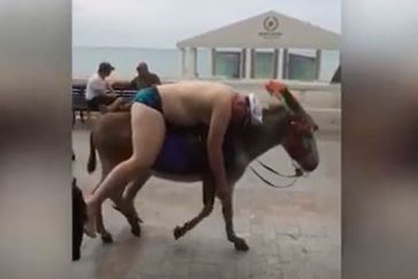ロシアで酔いつぶれた男性、ロバの背中で運ばれていく動画がユニーク