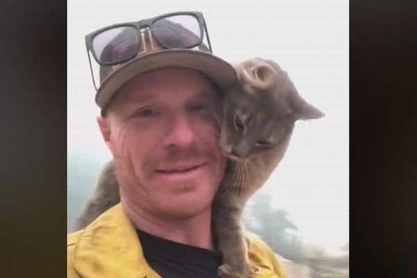 「助けてくれてありがとう！」山火事で救助されたネコが消防隊員にメロメロ
