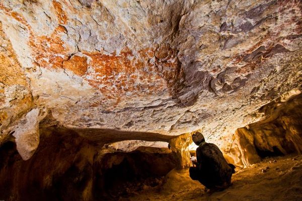 ボルネオ島の洞窟にある動物の壁画、約4万年前のものだと判明