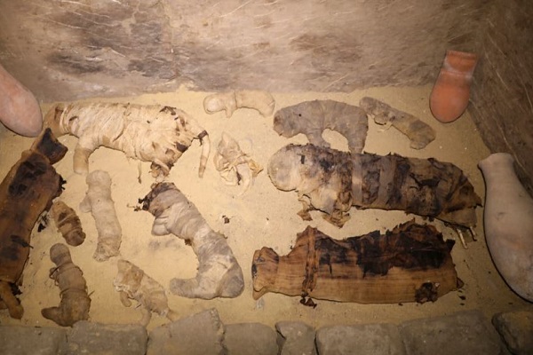 4000年以上も昔のエジプトの墓から猫のミイラなど数十体が発見される