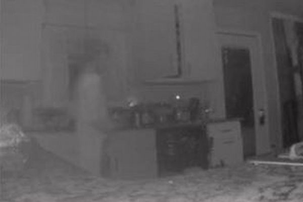 亡くなった息子の幽霊？悲しみに暮れる母親の家でカメラが透明な人影を撮影
