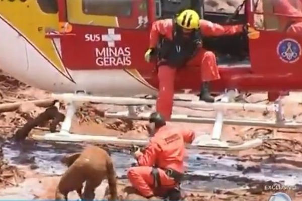 ブラジルで鉱山のダムが決壊、泥流に飲み込まれた人々をヘリが救助【動画】