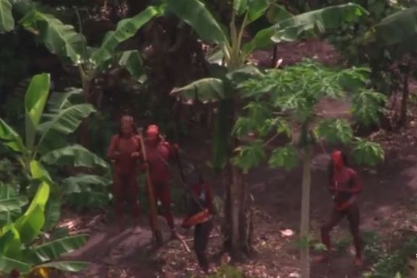 ブラジルの先住民らを死の危険にさらしたとして、米宣教師が告発される
