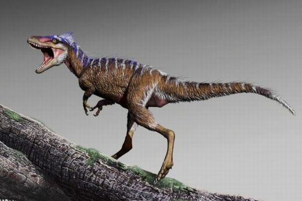背の高さはわずか1m！超ミニサイズのティラノサウルスの化石を発見