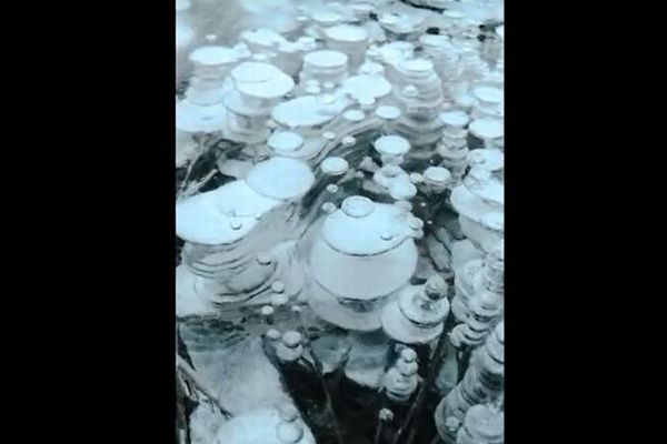カナダの湖で不思議な光景が出現、メタンの泡が凍った姿が美しい