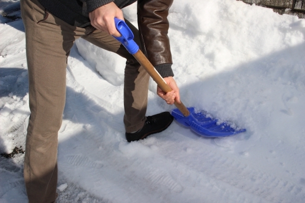 学校で大量の雪に埋まってしまったウサギ、職員の手で掘り出される