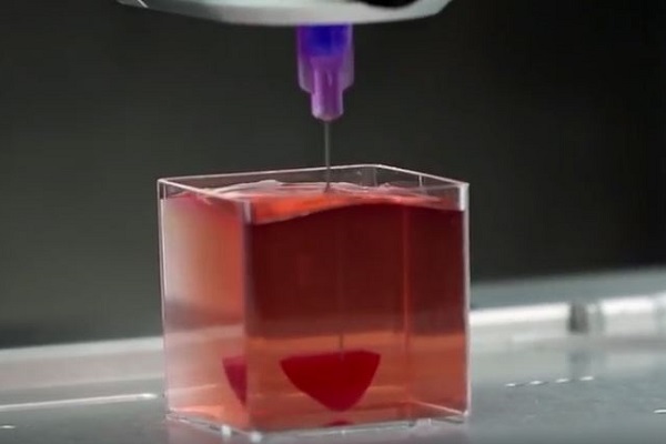 世界初の快挙！3Dプリント技術を用い、血管のある心臓の作成に成功