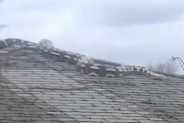 米住宅街の屋根に突然巨大なヘビが出現、付近の住民もびっくり！