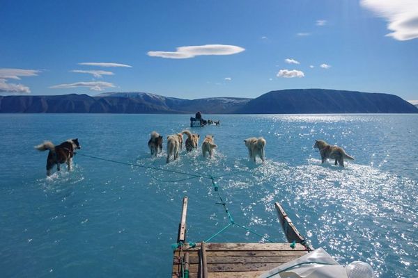 グリーンランドの氷が解けて浅い湖に…気象学者の写真に注目が集まる