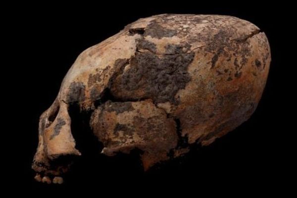 中国で発見されたエイリアンのような頭蓋骨、高い身分の人物のため人工的に作られた？