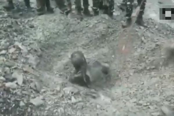 インドで土砂崩れに巻き込まれた男性、爆弾探知犬により奇跡的に発見される