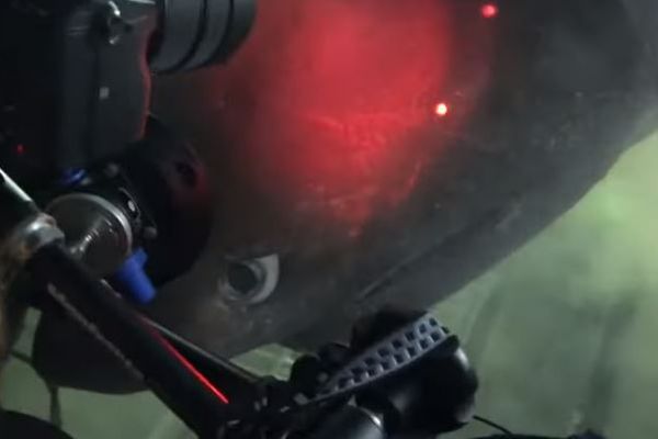 深海を探査中、目の前に巨大なサメが出現、潜水艇に乗っていた研究者も驚愕