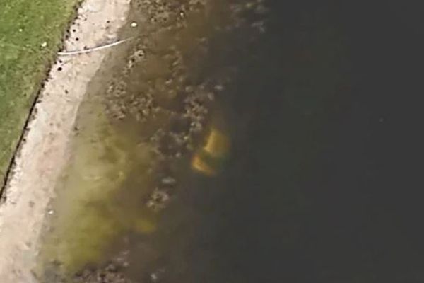 22年間行方不明だった男性の車、Googleアースにより池の底で発見される