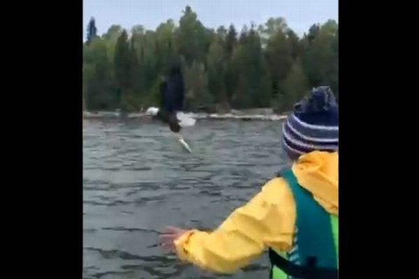 少年が投げた魚を、野生のハクトウワシが空中で見事にキャッチ【動画】