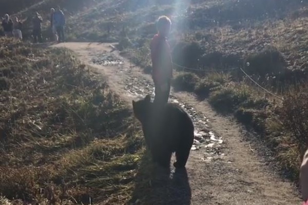 ハイキングの途中でクマが出現、接近遭遇した家族が凍りつく【動画】