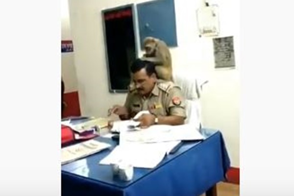 インドでサルを肩に乗せたまま、普通に事務作業する警官の姿がユニーク