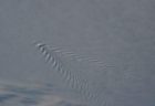 南極付近の雲にV字型のさざ波が出現、ISSからの写真をNASAが公開