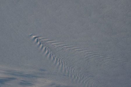 南極付近の雲にV字型のさざ波が出現、ISSからの写真をNASAが公開