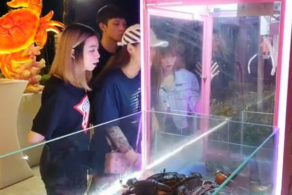 シンガポールに登場した生き蟹UFOキャッチャー、動物虐待と非難