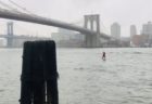 NYの川にサンタ姿の男性が出現、サーフィンで楽しむ姿が目撃される
