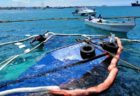 ガラパゴス諸島で艀が沈没、燃料漏れによる環境への影響が懸念される