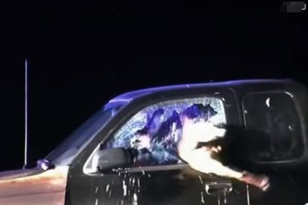 警察犬の猛烈な攻撃、車の窓に飛び込み、ガラスを突き破って犯人を確保