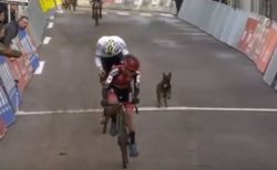 自転車競技のコースにワンコが登場、バイクを追いかけ選手も困惑