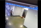 エレベーターの扉にリードを挟まれた子犬、窒息前に間一髪で救われる【動画】
