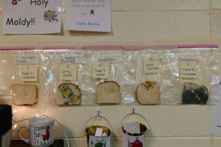 食パンを使った小学校の実験、手洗いの大事さが分かると話題に