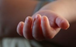 2万人以上が2週間早く誕生、気温上昇で早産が増える可能性を指摘：米大学