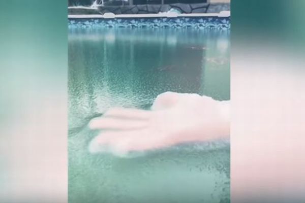 氷がゴムのように伸びる！プールでの現象をとらえた動画が不思議
