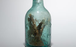 南北戦争時代の「魔女の瓶」が、米道路の中央分離帯から掘り出された
