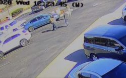 猛スピードで走ってきたシカ、駐車場の男性を倒してそのまま逃げる【動画】