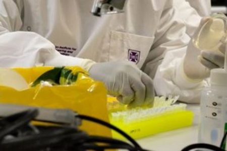 豪大学の研究者が新型コロナのワクチン候補を開発、まもなく動物実験へ