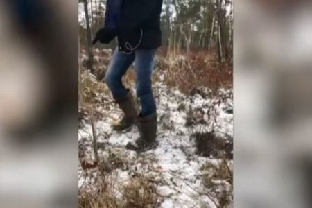 弾力を帯びた地面、ロシアで男性が飛び跳ねる映像が不思議