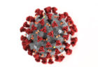 米遺伝子工学企業Greffexが、新型コロナウイルスのワクチンを完成したと発表